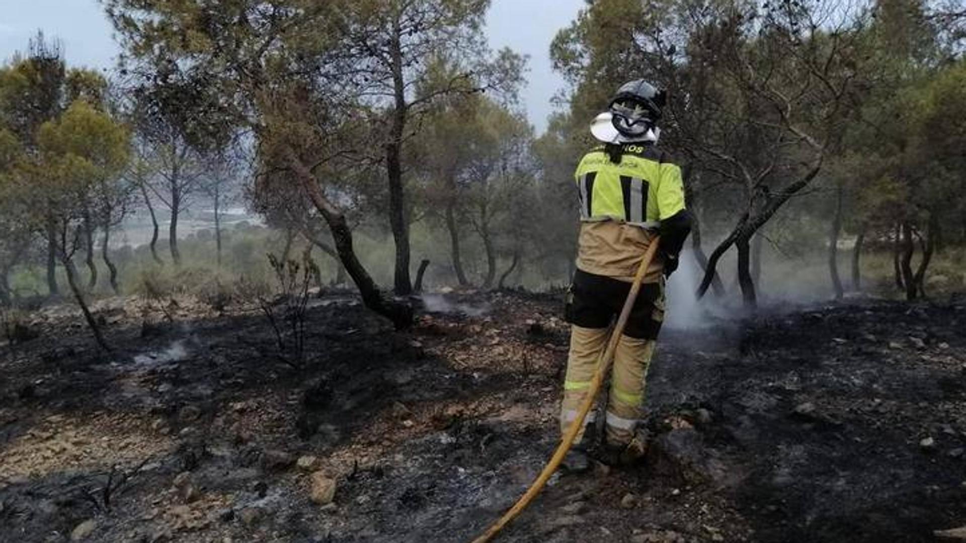 Detienen al presunto autor de provocar más de una decena de incendios